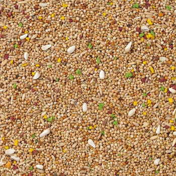 Deli Nature - 11 Papuga falista witaminizowana - 1kg